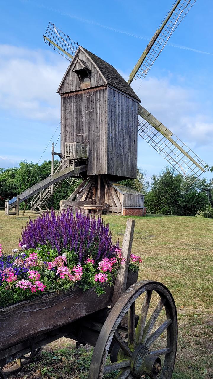 Bockwindmühle Wehe